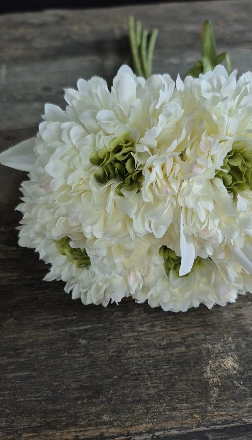 Calendula boeket wit 49 cm - 5 stelen