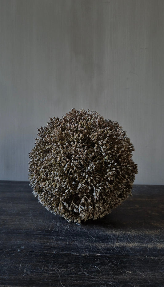 Eupatorium decorative sphere dark brown 15 cm