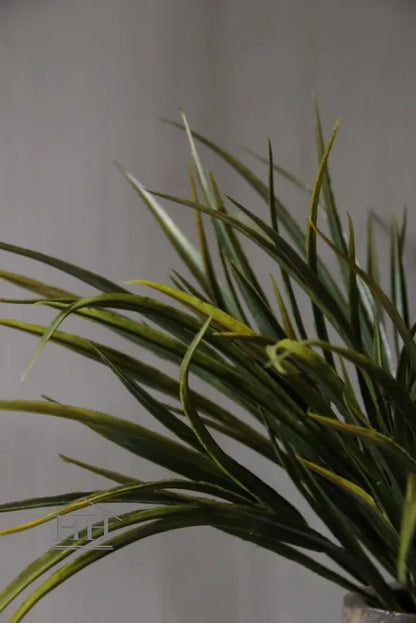 Grasboeket groen 50cm