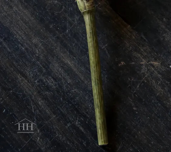 Grasboeket UV-bestendig 40cm