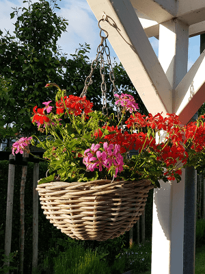 Rotan hangmand 31 cm