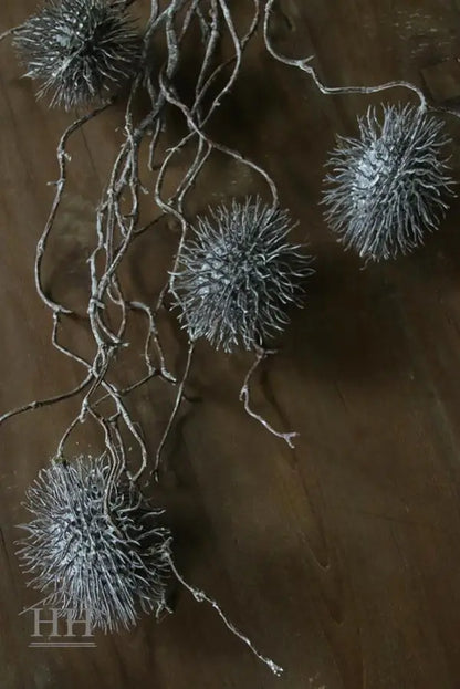 Hangtak rambutan fruit