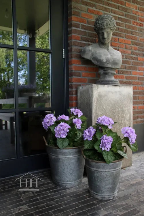 Hortensia lila in zinken pot