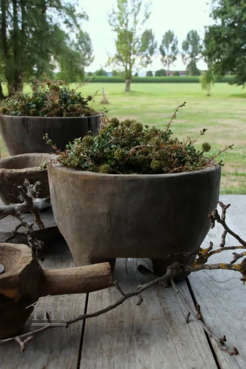 Vergrijsde pot Ninik op pootjes | Luksa (nr 6)