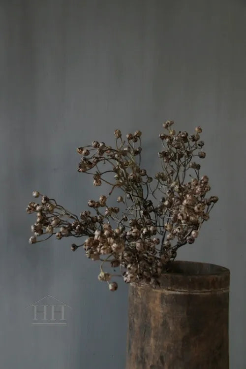 Kunsttak ilex bruin - Bundel van 5