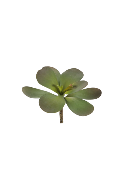 Jadeplant kunst vetplant 14 cm