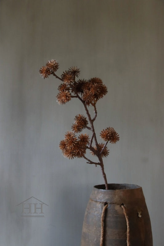 Dill braun 120 cm (lange braune Blüten)