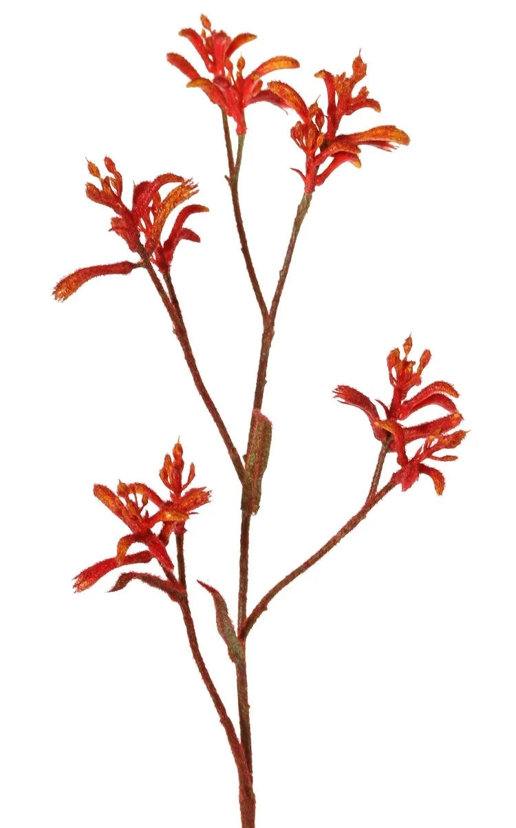 Pre-order Kangoeroepoot kunstbloem oranje - 76cm