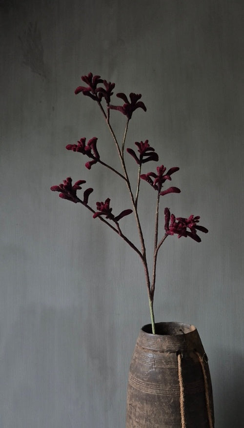 Kangaroo Paw Artificial Flower Burgundy Red - 85 cm