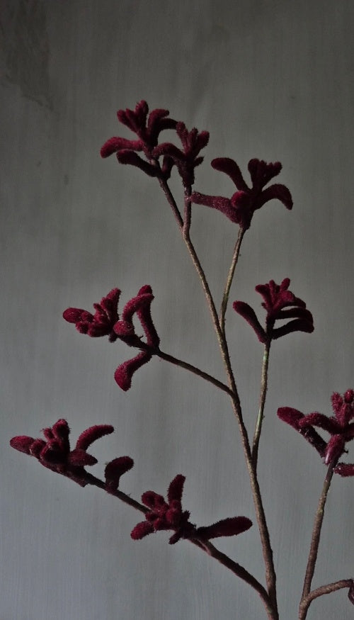 Kangaroo Paw Artificial Flower Burgundy Red - 85 cm