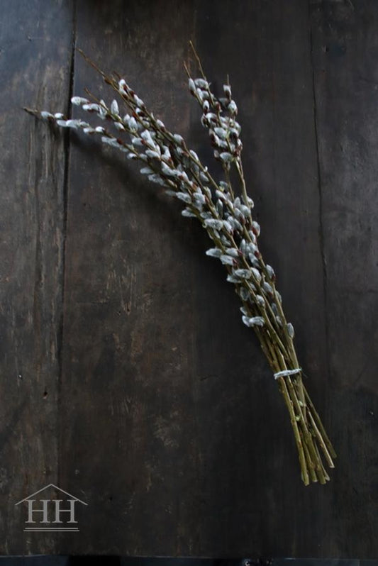 Bunch of willow catkins 80-90 cm
