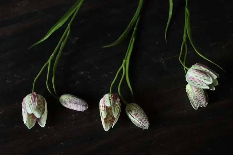 Kievitsbloem zijde nepbloem lavendel groen