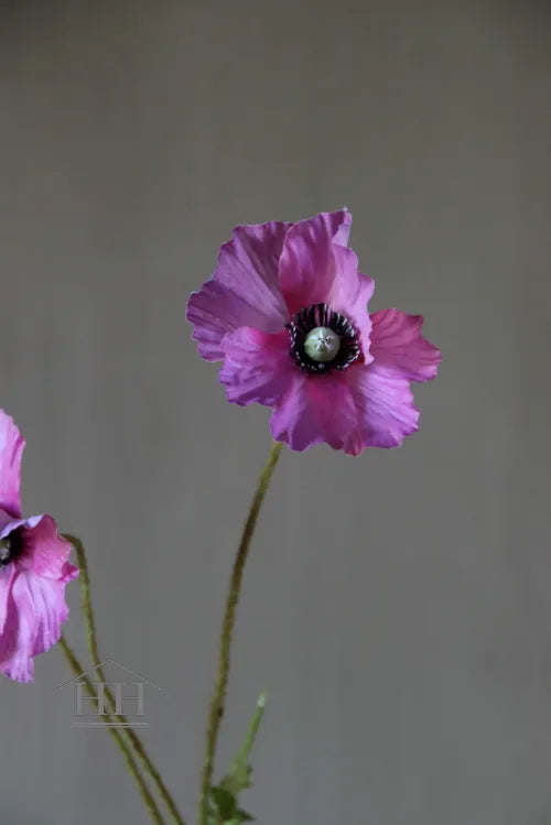 Künstlicher Mohn lila - 79 cm