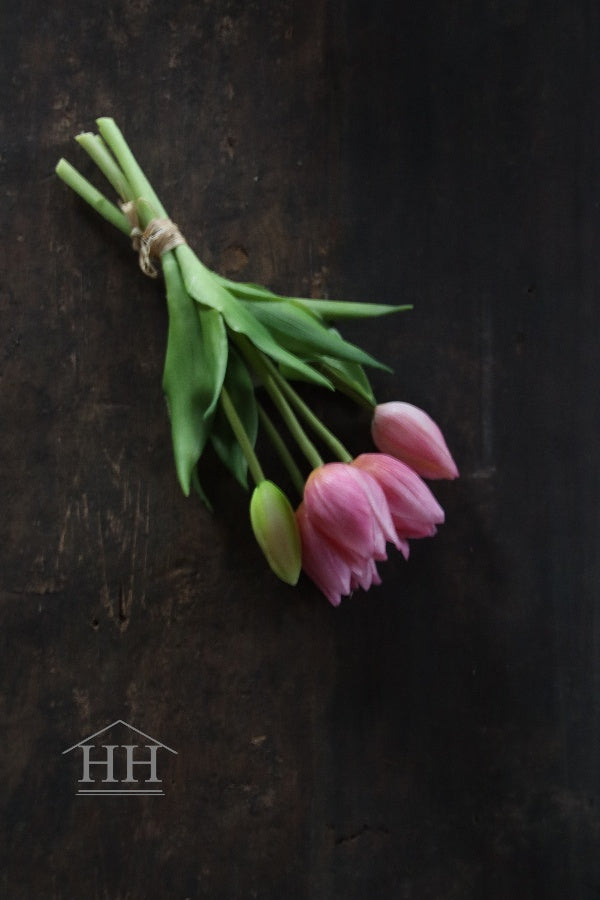 Korte kunst tulpen vintage roze | Hillary'sHome