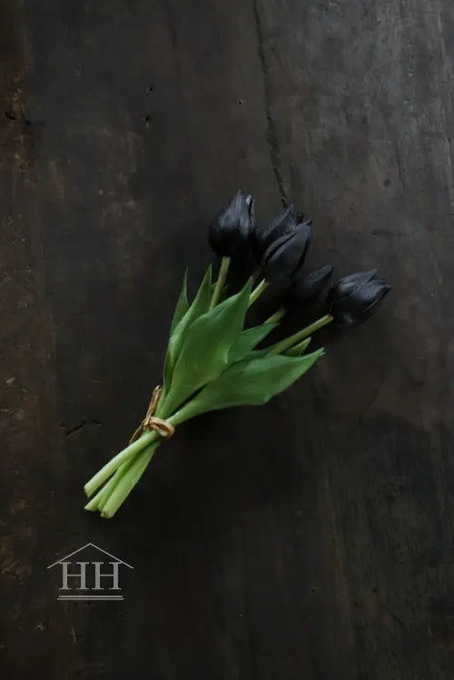 Korte tulpen zwart