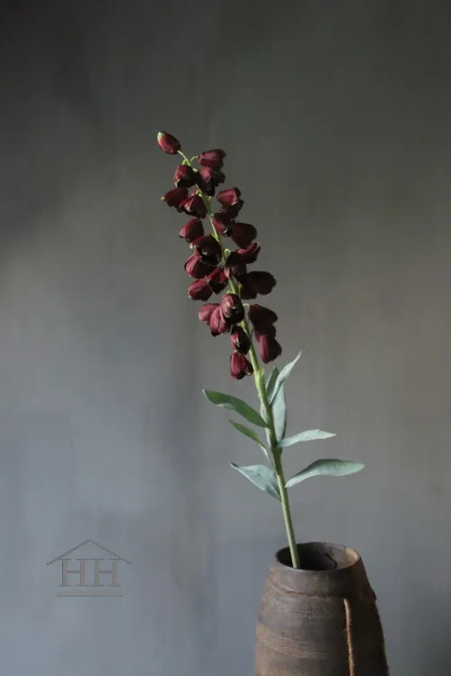 Kunst fritillaria bordeaux