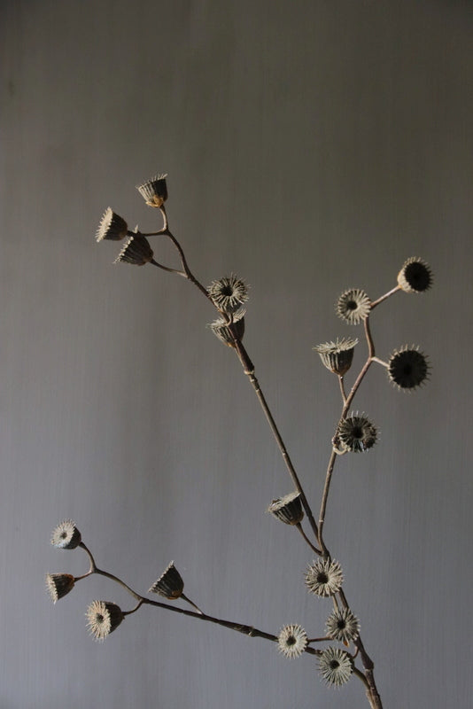 Kunst Chinese lantaarn tak