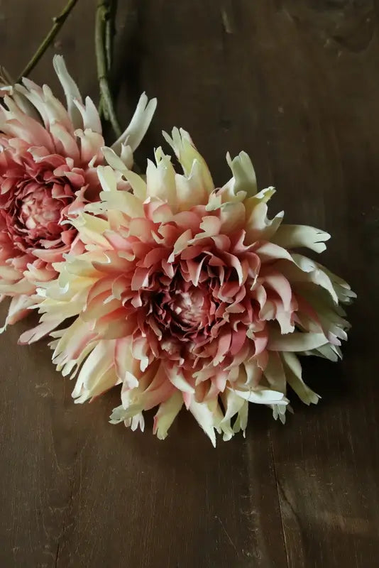 Kunst dahlia roze