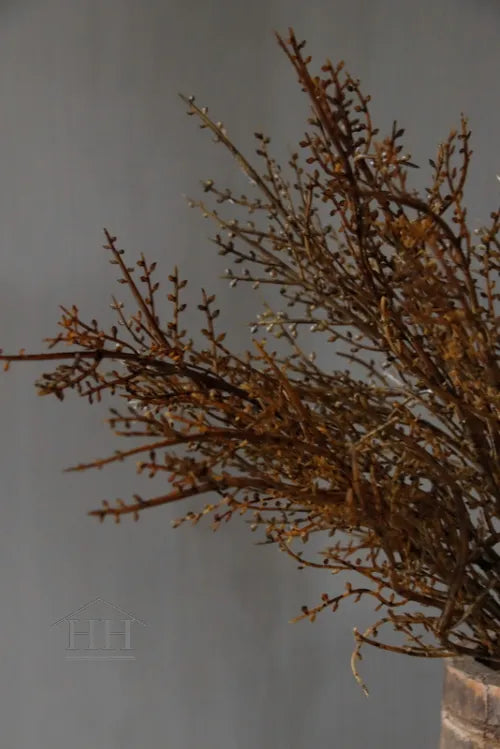 Kunst bosje gagel licht bruin - 6 takken bundel