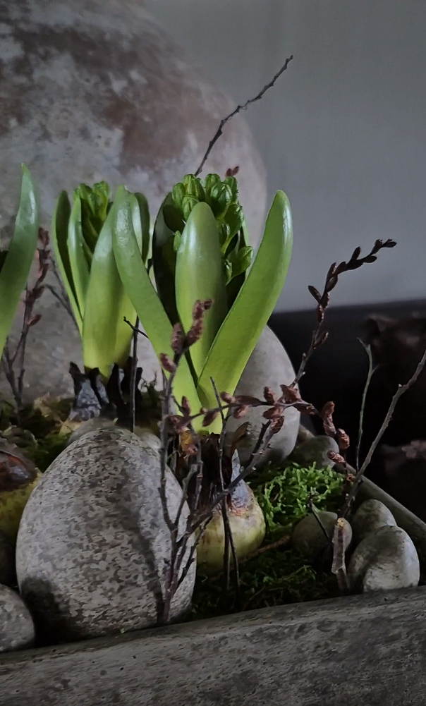 Sober betonnen ei S - pre-order