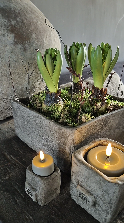 Kunst hyacint op bol 20cm