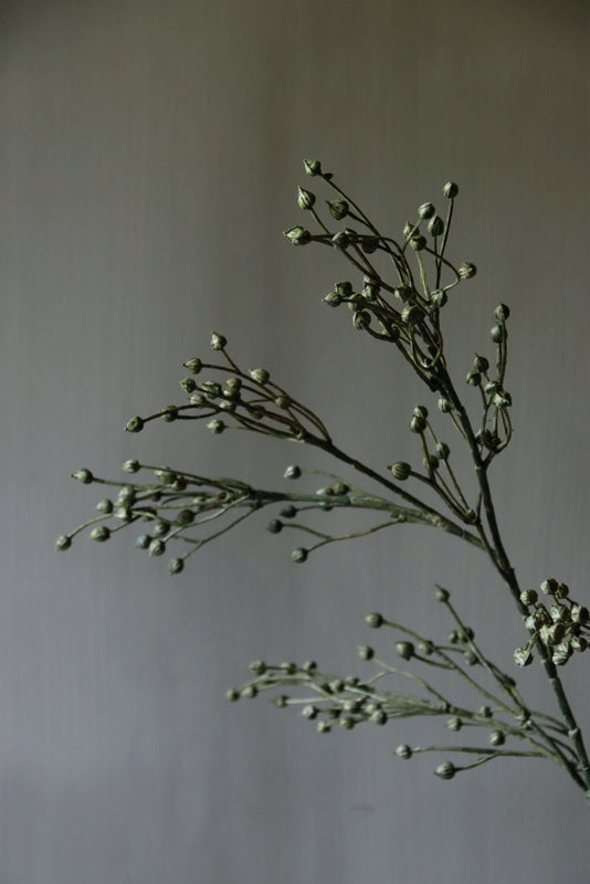 Kunst lijnzaadbolletjes tak