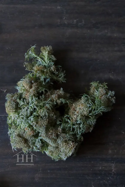 Künstliches Moos graubraun