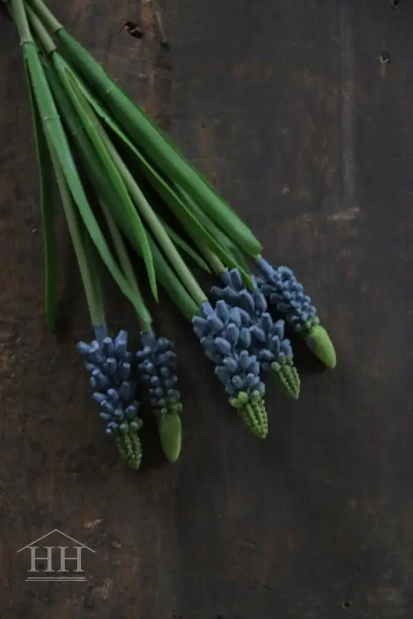 Kunst muscari blauw