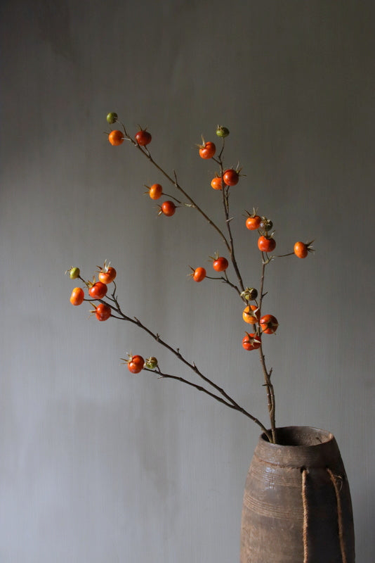 Kunst rozenbotteltak oranje