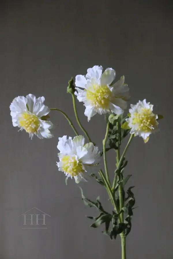 Kunst scabiosa duifkruid 63cm wit