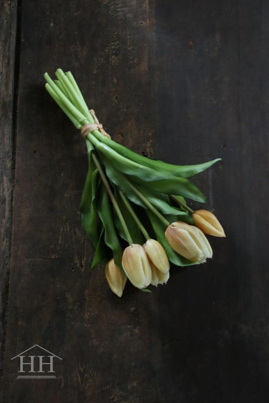 Artificial tulips 30 cm champagne (014)