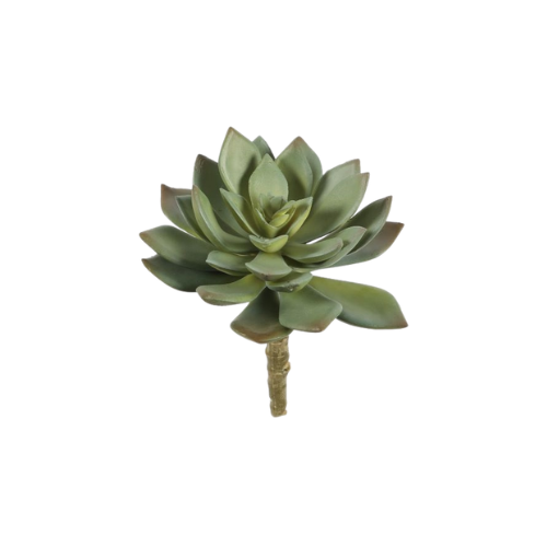 Artificial succulent echeveria green