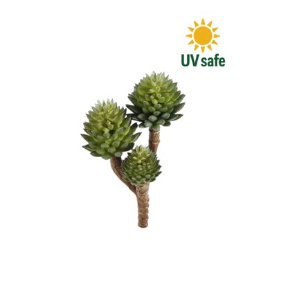 Kunst-Sukkulente Sedum Grün UV