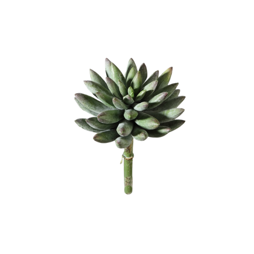 Kunst vetplant sedum groen grijs
