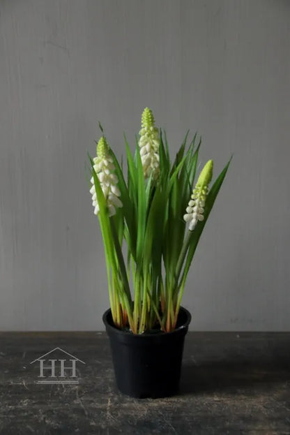 Kunst witte druifjes in zwart binnenpotje