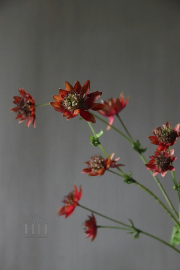 Kunstbloem astrantia rood | Sterrenscherm nepbloemen