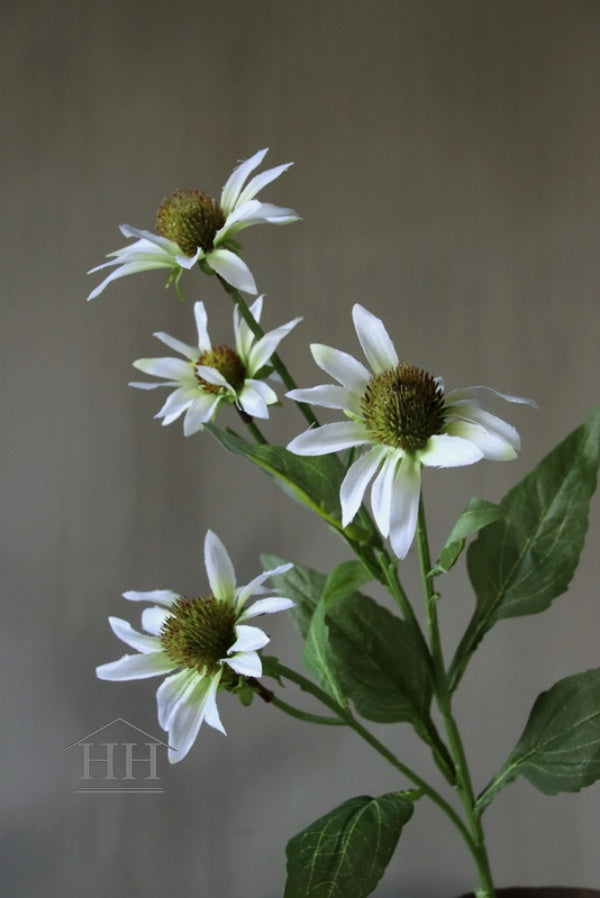 Künstliche Blume Echinacea weiß 73 cm