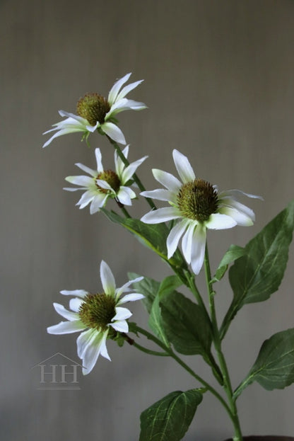 Kunstbloem Echinacea wit 73 cm