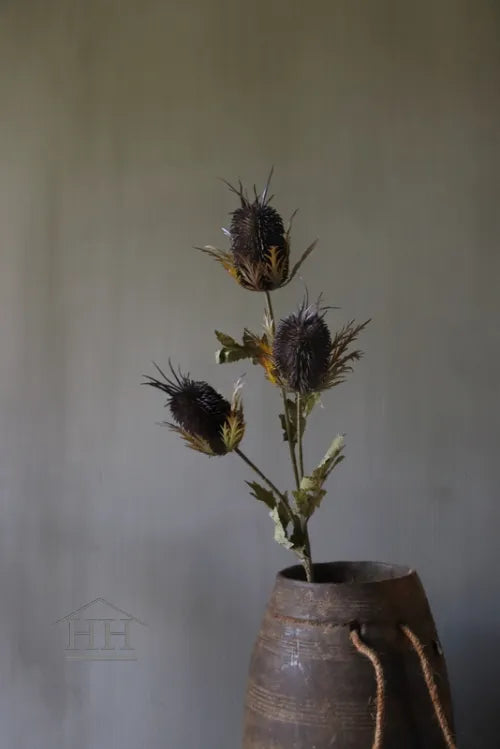 Distel bruin/aubergine