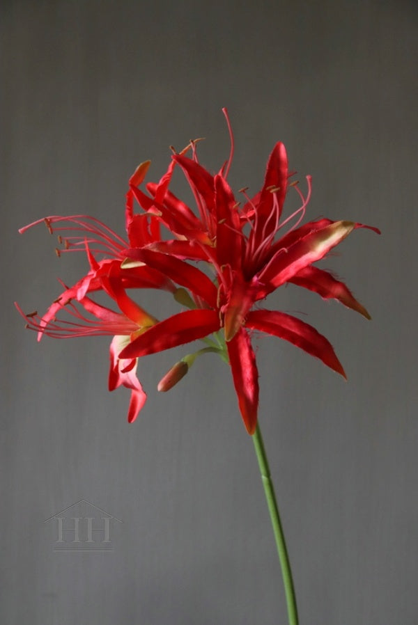 Levensechte kunstbloem nerine rood