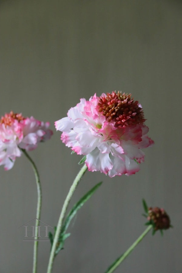 Kunstbloem scabiosa lichtroze | Duifkruid nepbloem die net echt lijkt