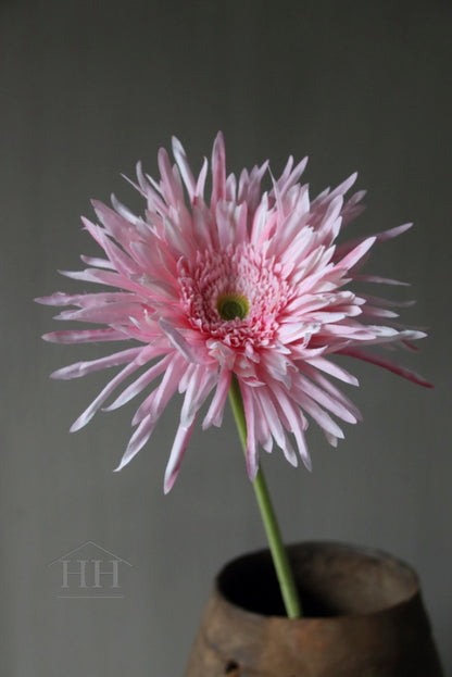 Kunstbloem Spider Gerbera roze 70 cm