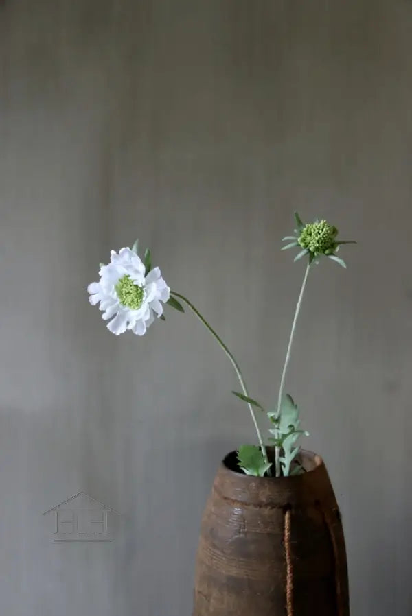 Zijden scabiosa bloem in wit, ideale kunstbloem voor in de vaas