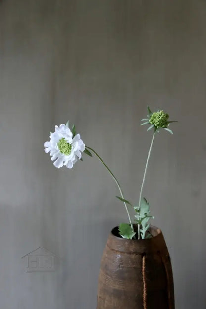 Zijden scabiosa bloem in wit, ideale kunstbloem voor in de vaas