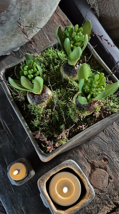 Künstliche Hyazinthe auf Zwiebel, 20 cm