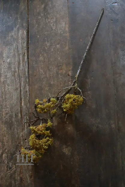 Künstlicher Ast mit Moos 75cm