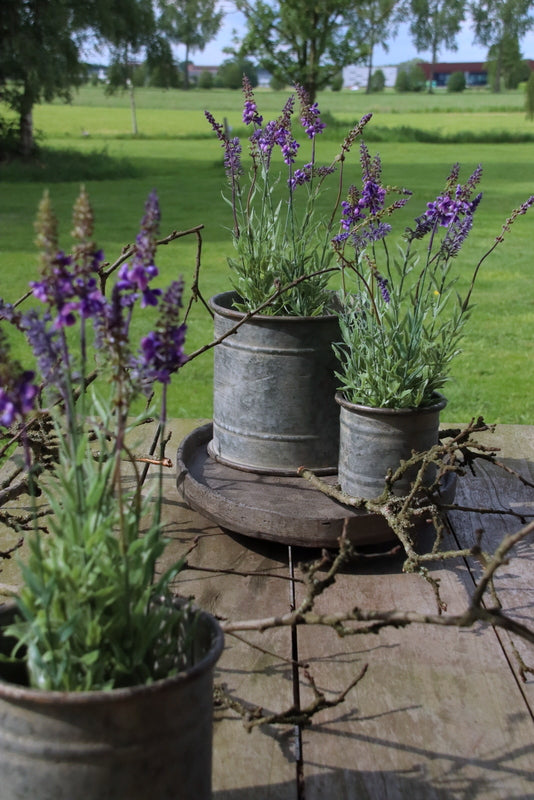 Künstlicher Lavendel im lila/lilagrauen Steintopf