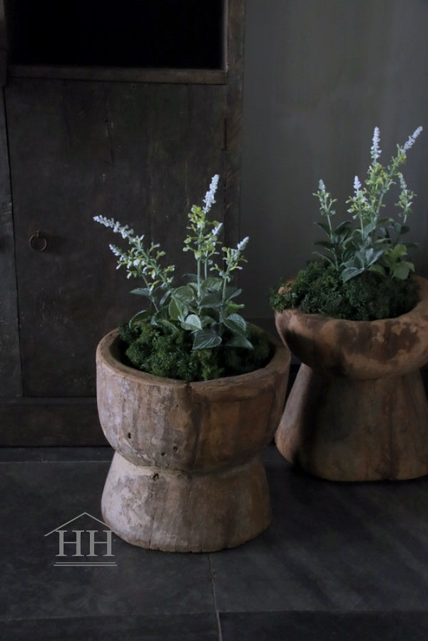 Artificial sage in pot white/cream