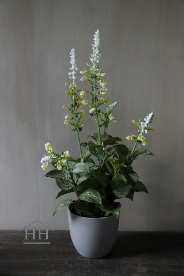 Artificial sage in pot white/cream