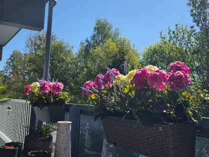 Franse geranium kunstplant fel roze met wit - 36 cm - UV & Water bestendig